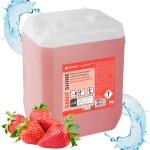 Eco Shine SANIT SHINE 10L Pianka do mycia i odkamieniania łazienek i toalet