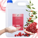  Biopur Mydło w pianie 5l - Granat & Jagody Goji