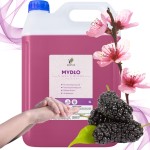 Biopur Mydło w płynie 5l - Śliwka & Morwa
